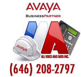 AAA All Voice and Data Inc. -  AVAYA Business Partner